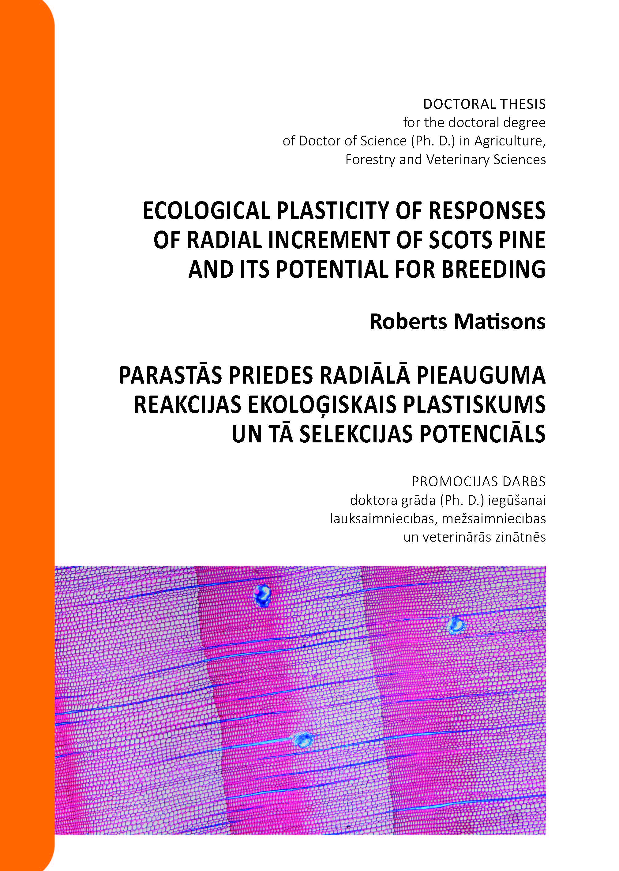 2024 11 15 MatisonsR Thesis