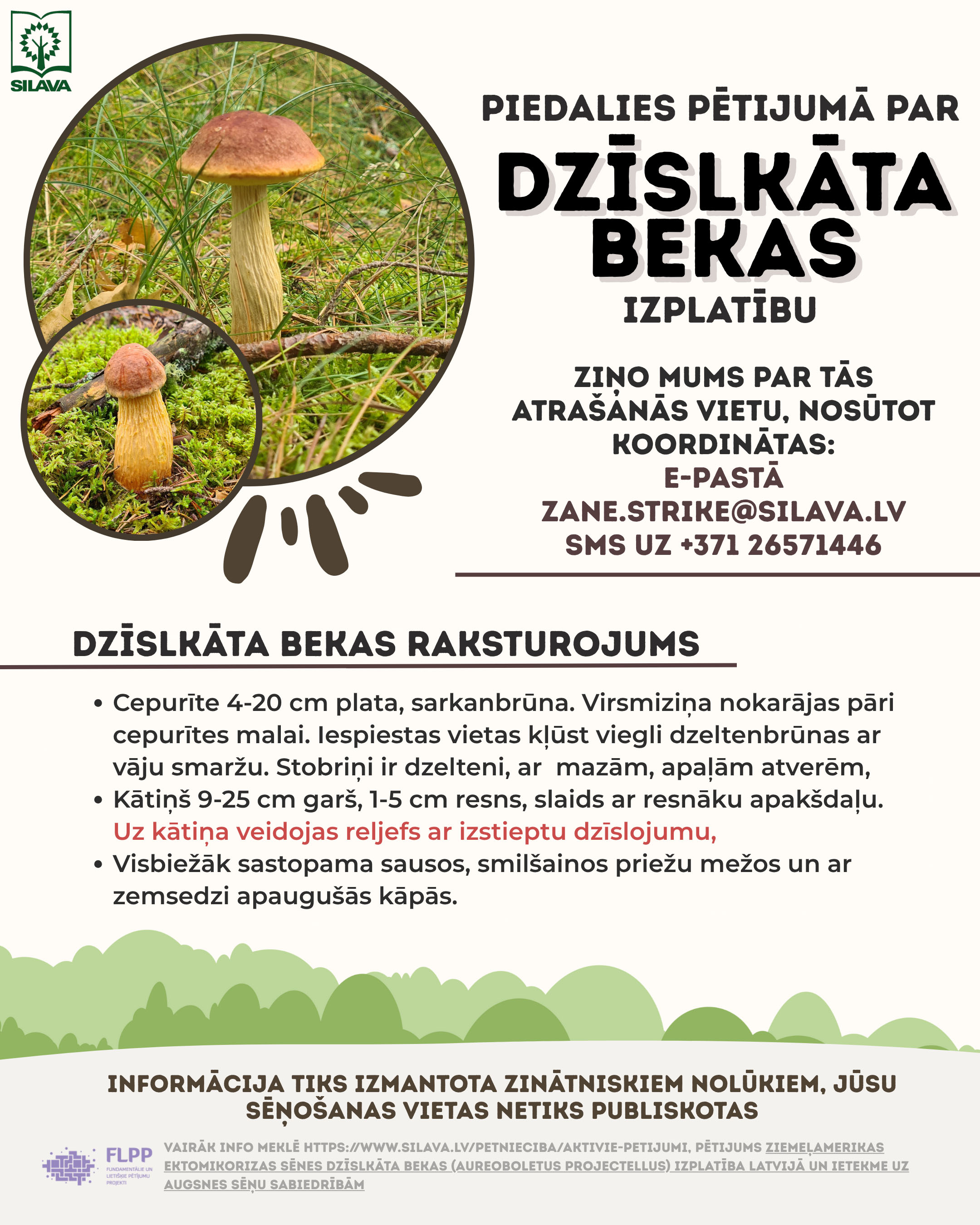 2025 07 10 Dzislkata beka