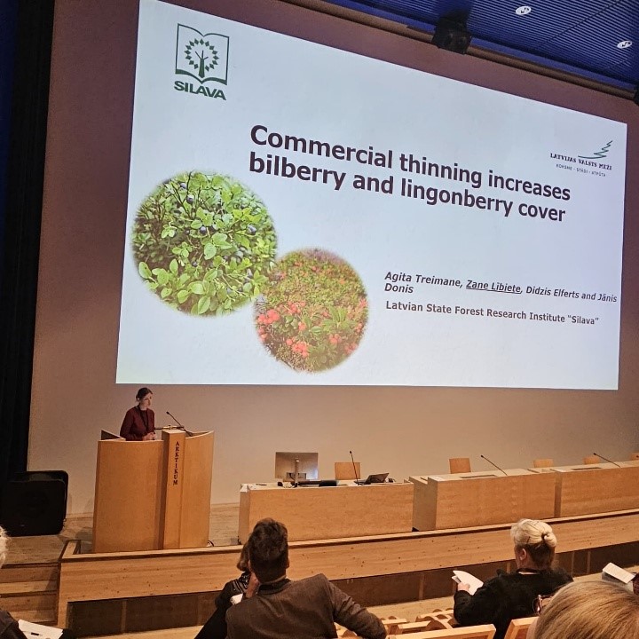 2025 10 21 Rovaniemi