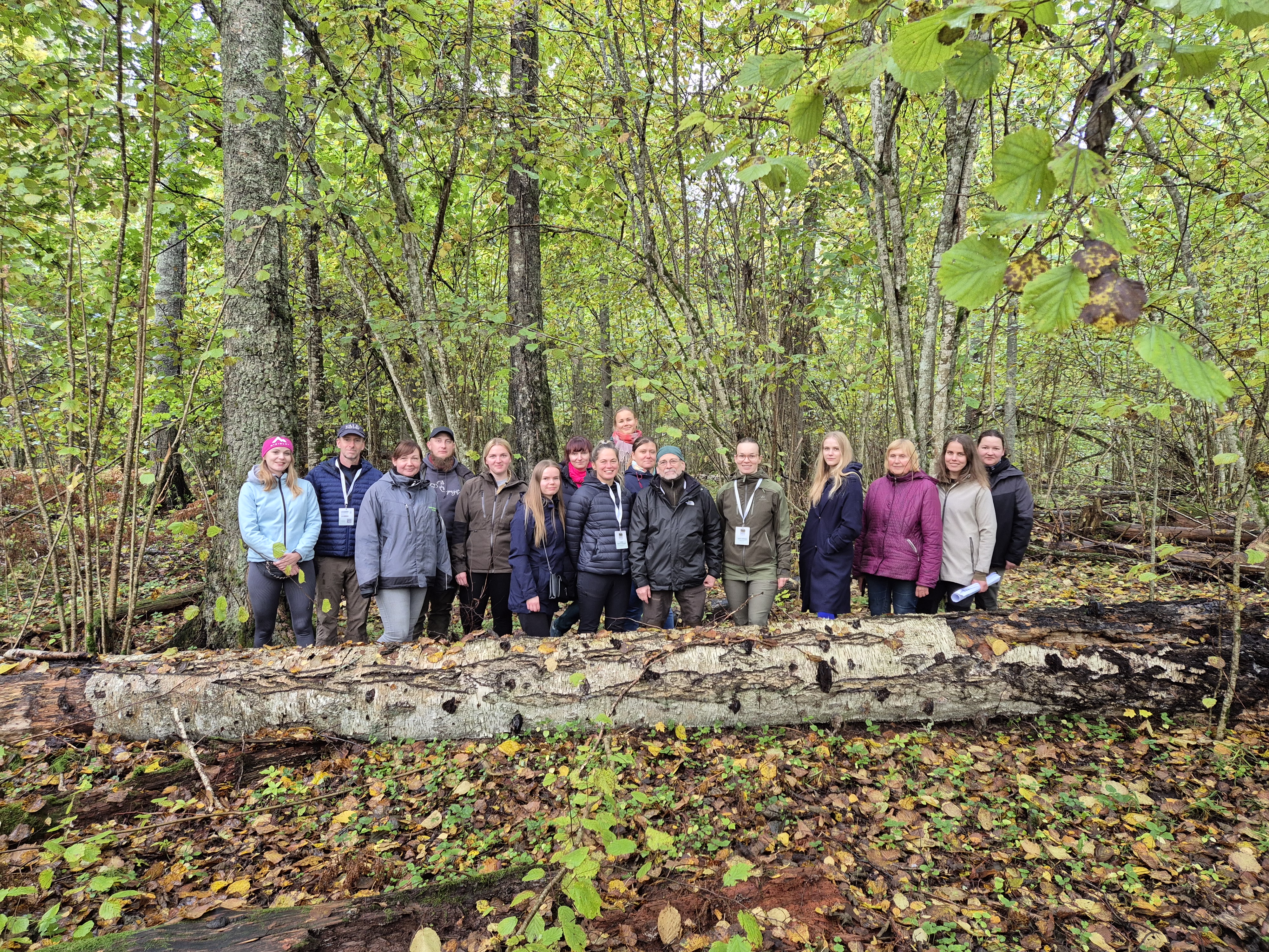 2025 10 24 OldForests1