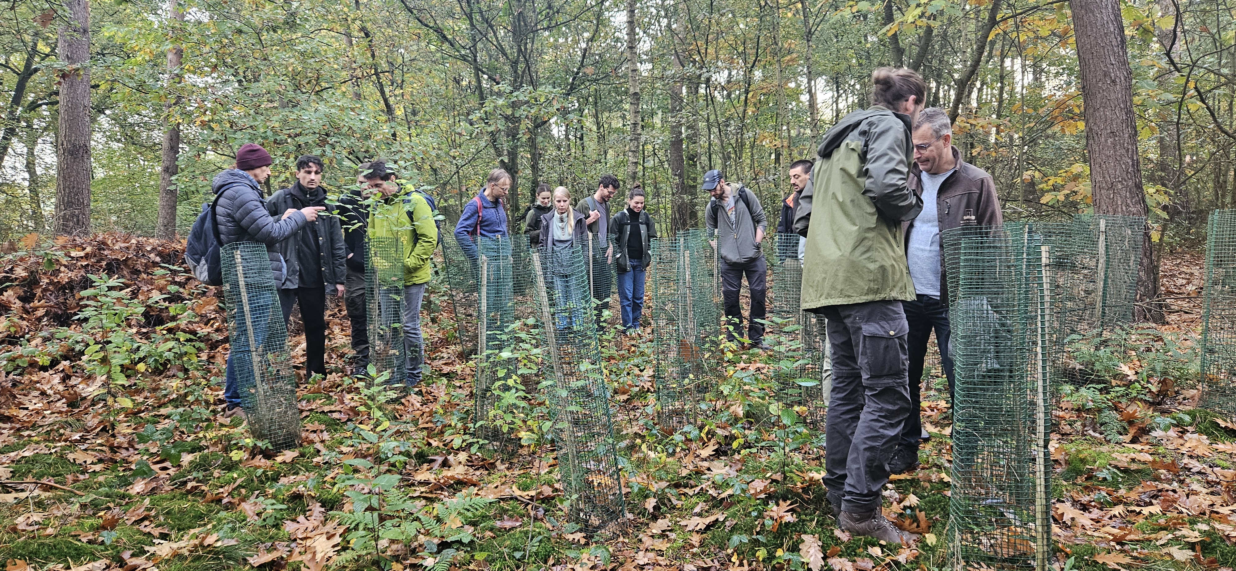 2025 1 27 KlimataGudraMezs1