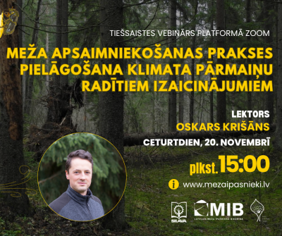 2025 11 19 MIB Seminars